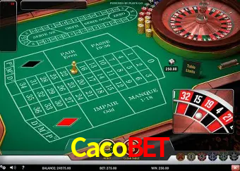 Cassino ao vivo com dealers reais na Cacobet
