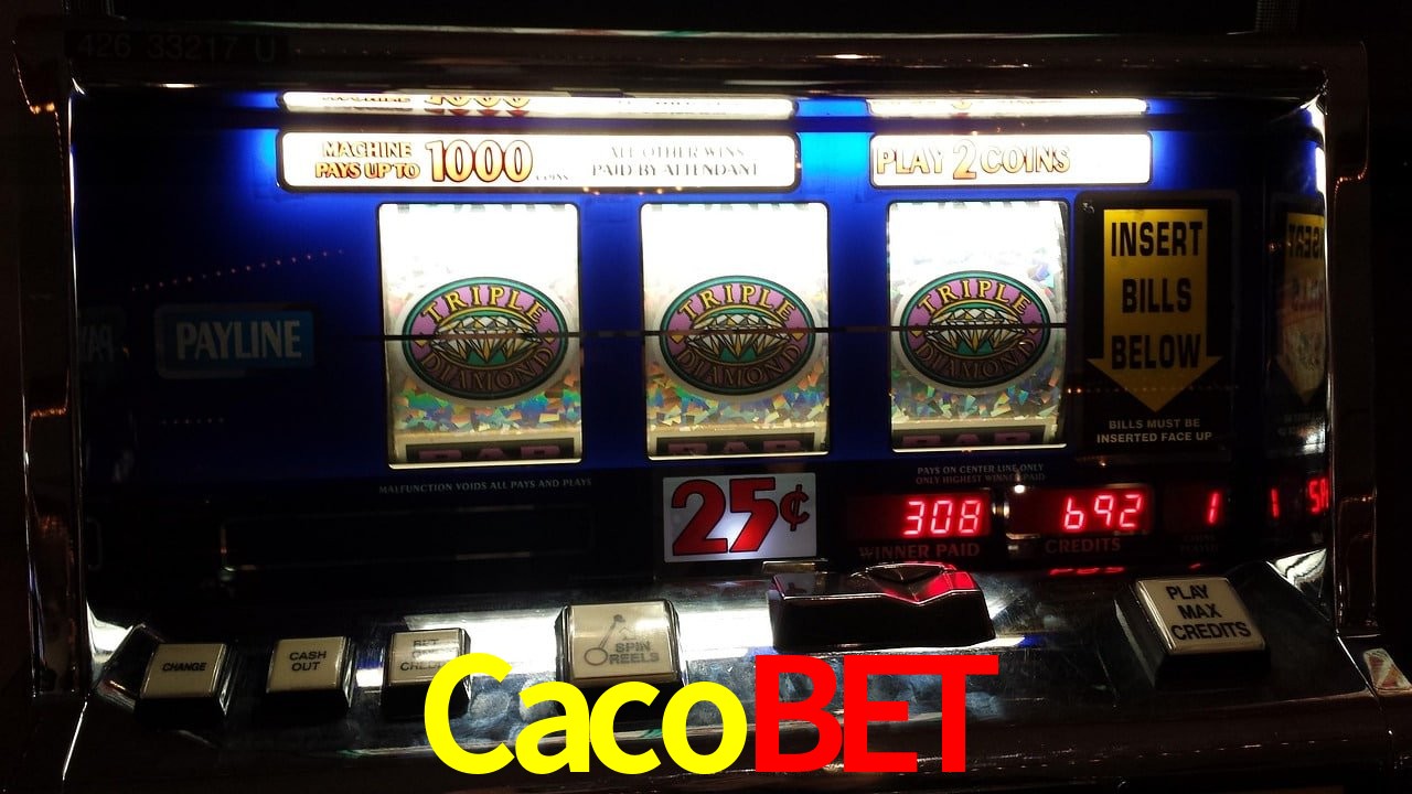 Basketball Betting Cacobet